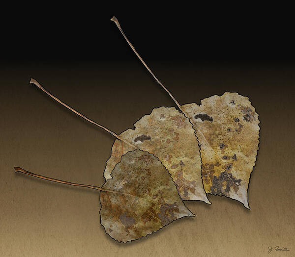 Leaves Poster featuring the photograph Decaying Leaves by Joe Bonita