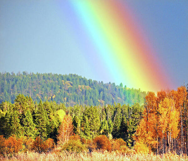 Gold Poster featuring the photograph Gold At the End of the Rainbow by Ted Keller