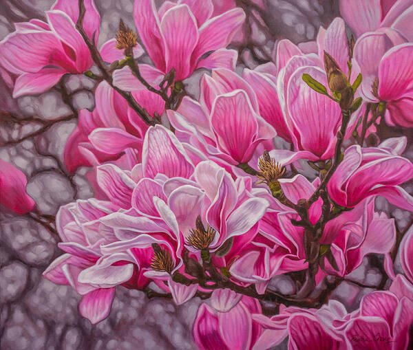 Fiona Craig Poster featuring the painting Magnolias 1 by Fiona Craig