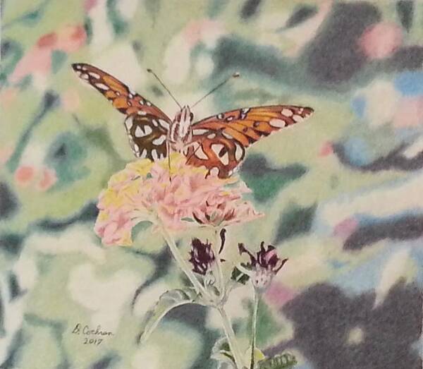 Butterfly Poster featuring the drawing Mary's Garden by David Cochran