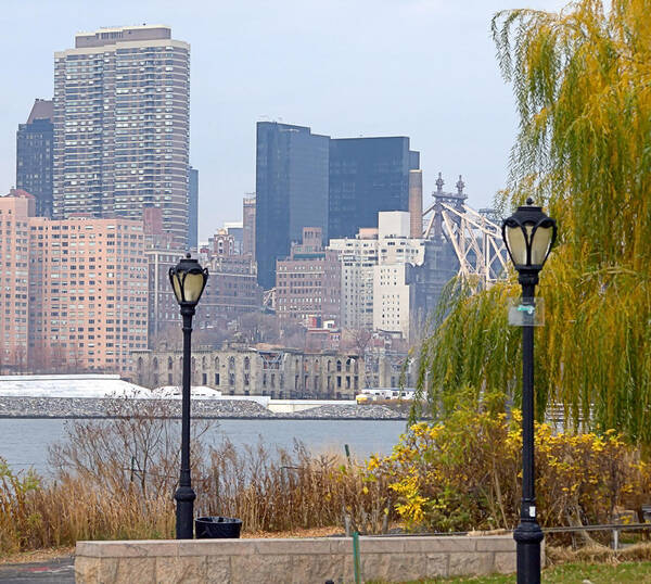 Park Poster featuring the photograph Parkview by Newwwman