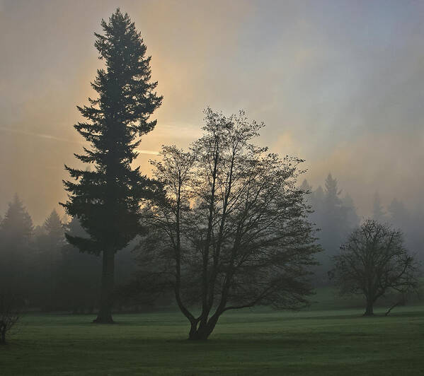 Portland Oregon Poster featuring the photograph Patchy Morning Fog by Albert Seger