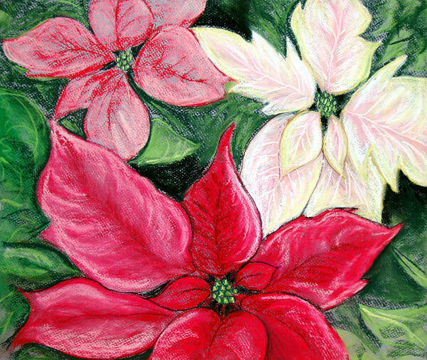 Poinsettia Poster featuring the pastel Poinsettia Pastel by Nancy Mueller
