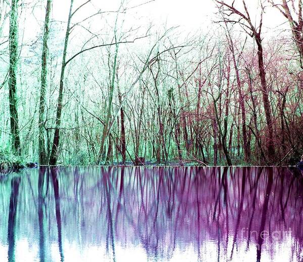 Trees Poster featuring the digital art Purple Reflections by Patty Vicknair
