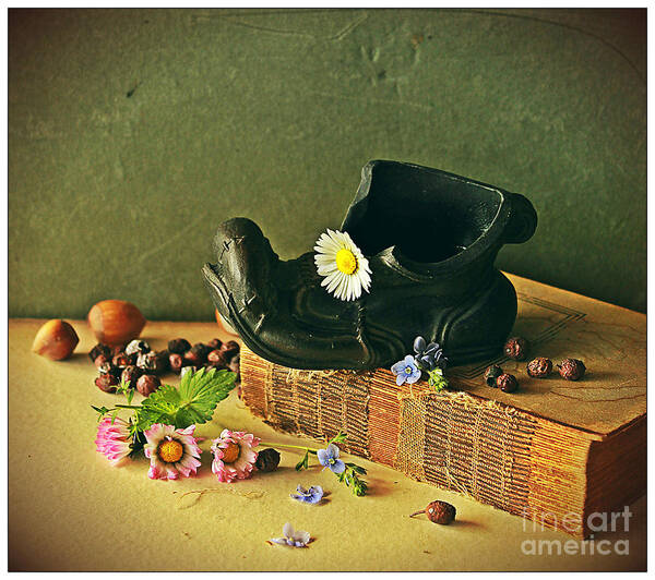 Daisies Poster featuring the photograph Still life with daises by Binka Kirova