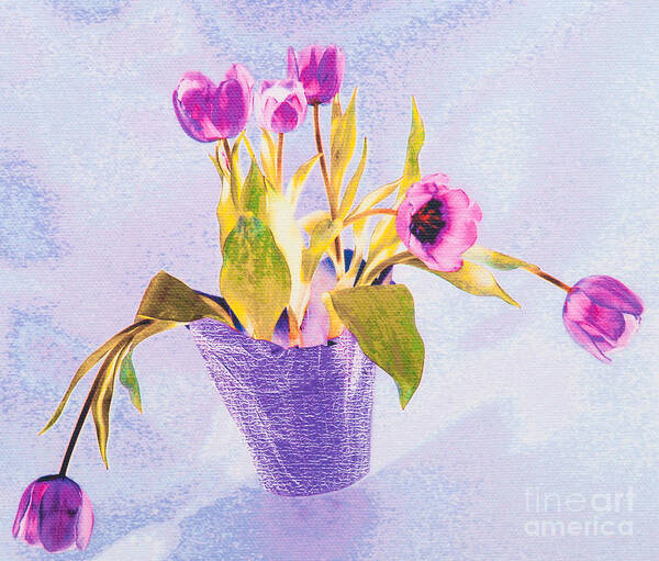 Pink Poster featuring the photograph Tulips In A Pot by Diane Macdonald