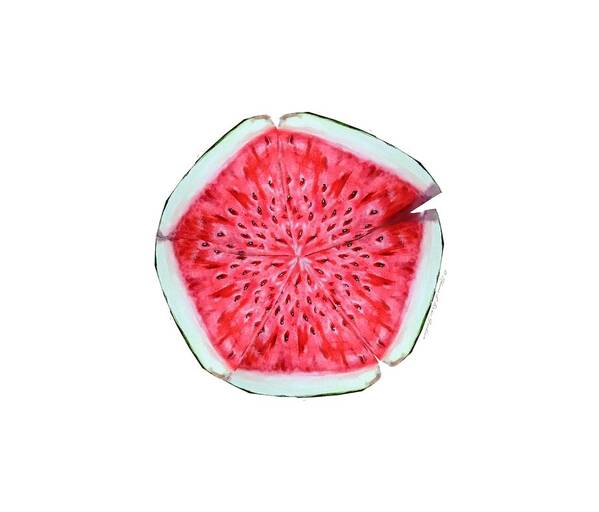 Fruit Poster featuring the painting Watermelon Star Wheel by Shana Rowe Jackson