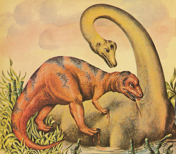 Animal Poster featuring the drawing Two Dinosaurs #1 by CSA Images