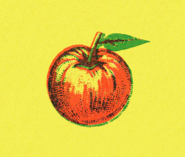 Apple Poster featuring the drawing Apple #10 by CSA Images