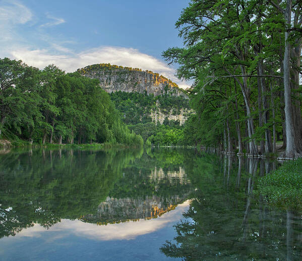 00567590 Poster featuring the photograph Bald Cypress Trees Along River, Frio River, Old Baldy Mountain, Garner State Park, Texas by Tim Fitzharris