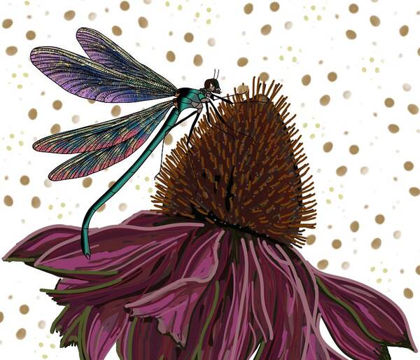 Echinacea Flower. Dragon Fly Poster featuring the drawing Dragon fly and Echinacea Flower by Joan Stratton