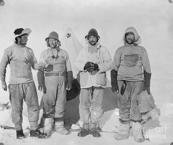 People Poster featuring the photograph Explorers Who Discovered Robert Falcon by Bettmann