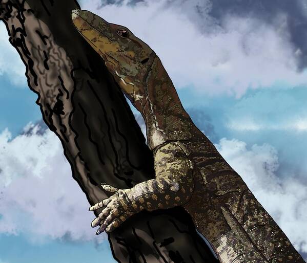 Portrait Poster featuring the drawing Goanna Climbing A Tree by Joan Stratton