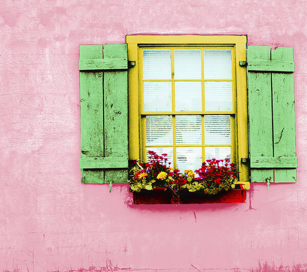 Window Poster featuring the mixed media Pink St. Augustine by Ynon Mabat