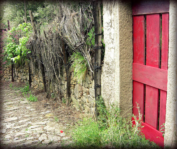 Red Door Poster featuring the photograph Red Garden Door by Lupen Grainne