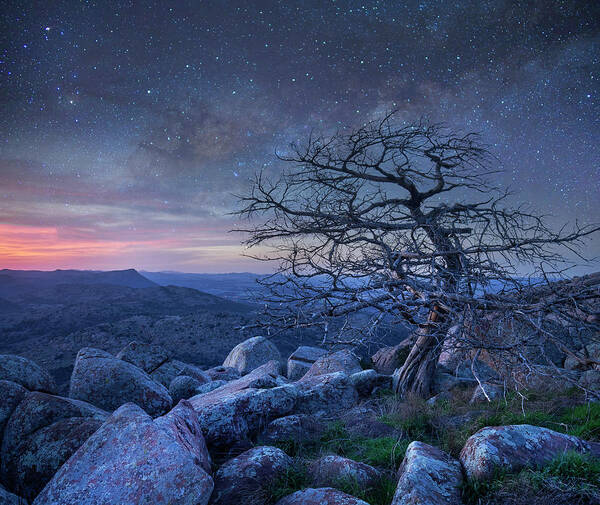 00559646 Poster featuring the photograph Stars Over Pine, Mount Scott by Tim Fitzharris