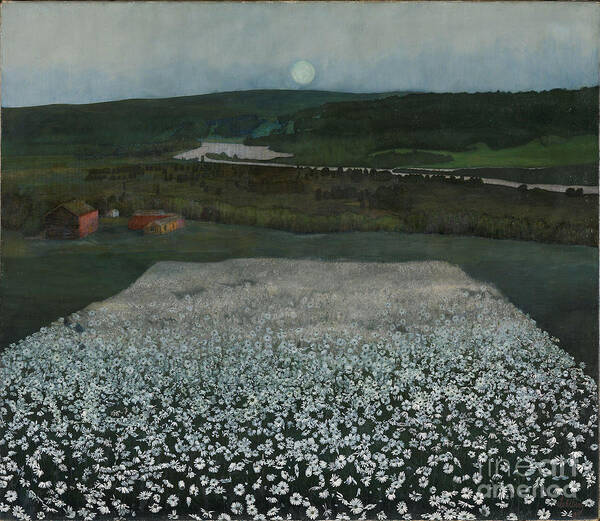Harald Sohlberg Poster featuring the painting A flower field up north, 1905 by O Vaering by Harald Sohlberg