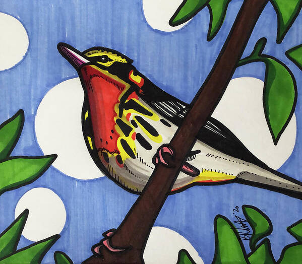 American Warbler Poster featuring the drawing American Warbler by Creative Spirit