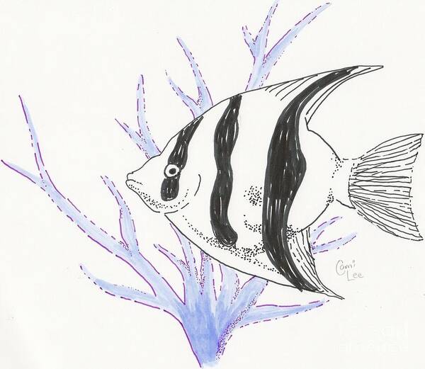 Black And White Angel Fish Poster featuring the drawing Angel Fish and Coral by Cami Lee