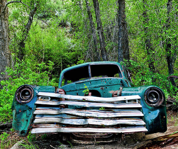 Wreaked Old Pick Up Truck Poster featuring the photograph Another Green World by Neil Pankler