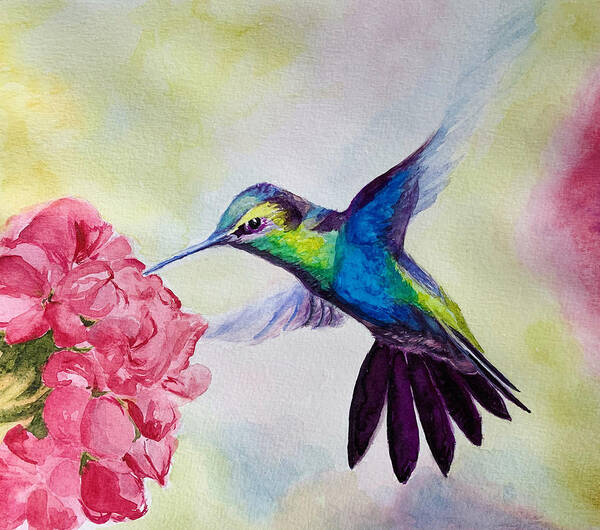 Humming Bird Poster featuring the painting Blue Hummingbird by Tracy Hutchinson