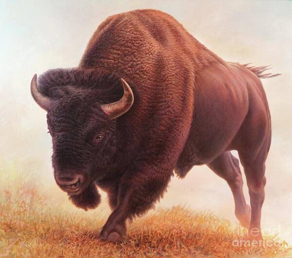 Buffalo Poster featuring the painting Buffalo, B, R off 2 by Hans Droog