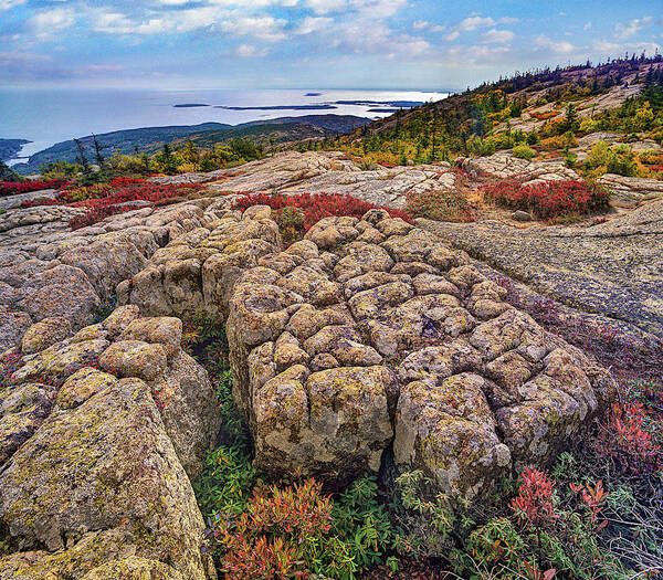 Tim Fitzharris Poster featuring the photograph Cadillac Mountain, Acadia National Park, Maine by Tim Fitzharris
