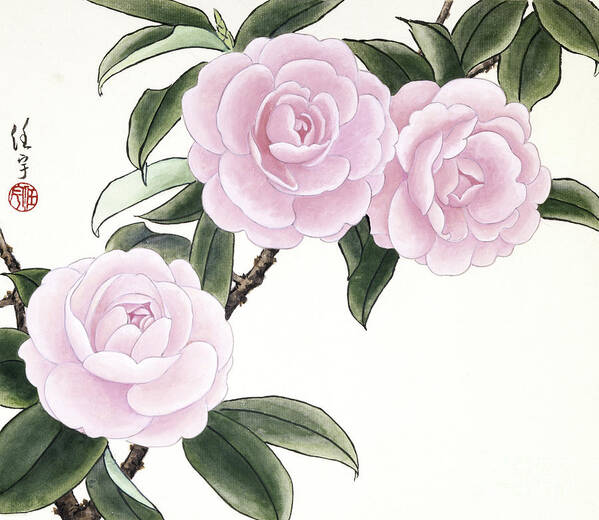 Ren Yu Poster featuring the painting Pink Camellias II by Ren Yu