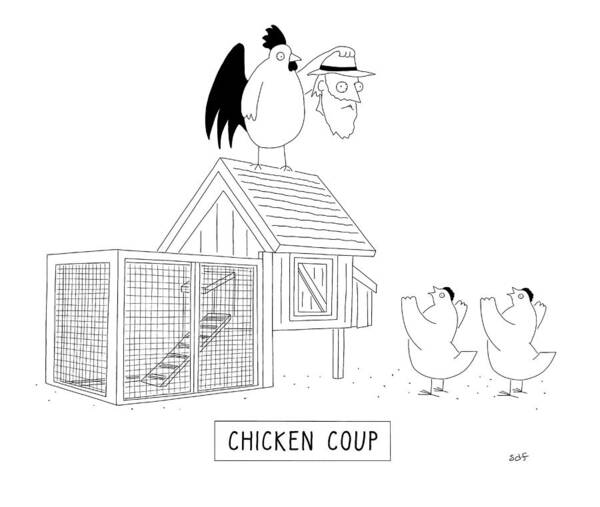  Chicken Coup Poster featuring the drawing Chicken Coup by Seth Fleishman