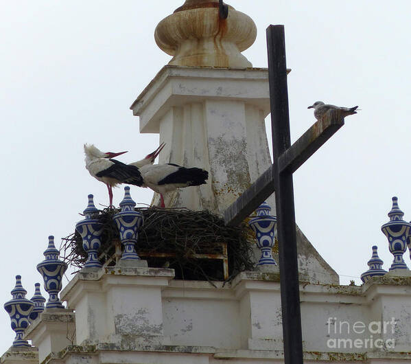 European Storks Poster featuring the photograph Church Tower Storks Nest by Phil Banks