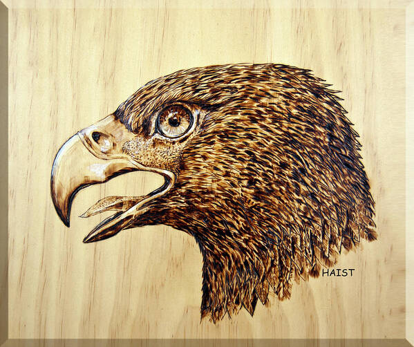 Eagle Poster featuring the pyrography Golden Eagle by R Murrey Haist
