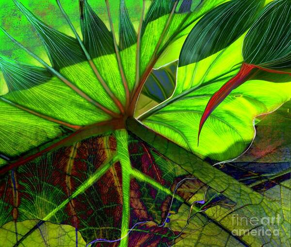 Leaves Poster featuring the digital art Leafy Layers by Suki Michelle