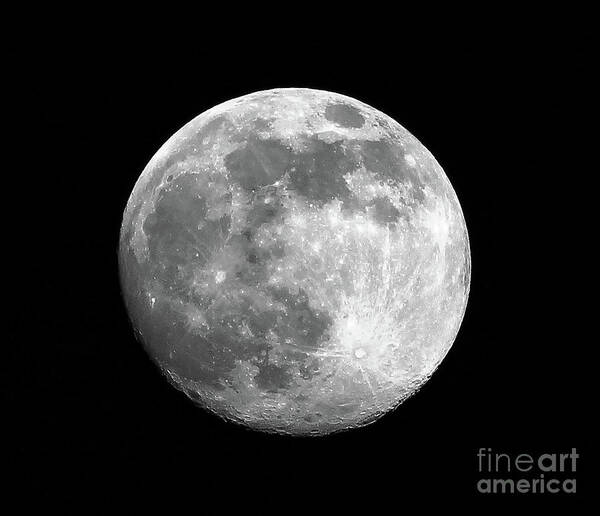 Moon Poster featuring the photograph Moon by Tom Conway