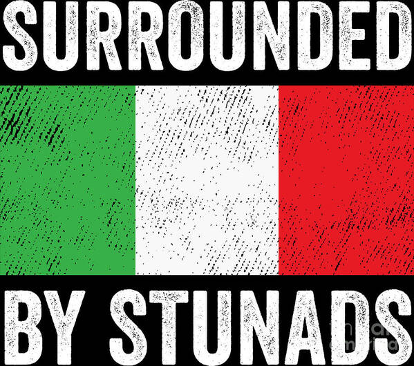 Surrounded By Stunads Funny Italian Sayings Gift Poster by Haselshirt -  Fine Art America
