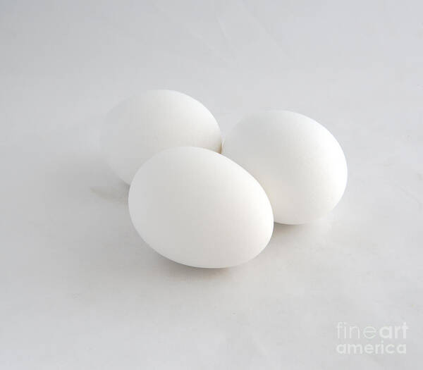 Eggs Poster featuring the photograph Three White Eggs by Kae Cheatham