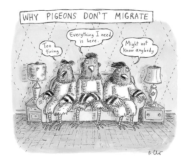 A26527 Poster featuring the drawing Why Pigeons Don't Migrate by Roz Chast