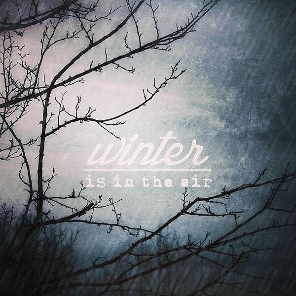 Godisgood Poster featuring the photograph || Winter ||
________________

i by Traci Beeson