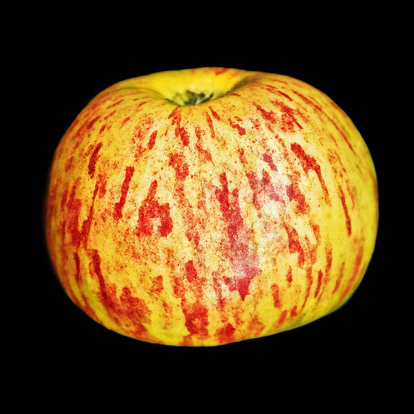 Fruit Poster featuring the photograph Apple #1 by Tim Fleming
