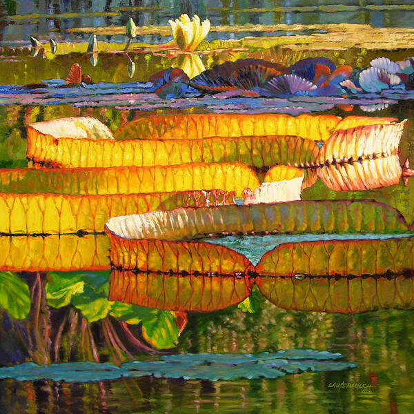 Water Lilies Poster featuring the painting Glorious Morning Lilies #1 by John Lautermilch