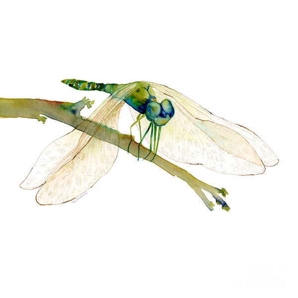 Blue Poster featuring the painting Green Dragonfly #1 by Amy Kirkpatrick