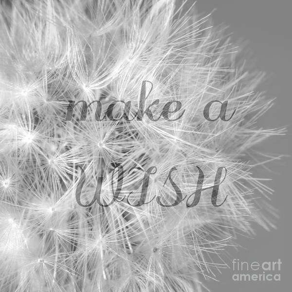 Make A Wish Print Poster featuring the photograph Make A Wish #1 by Lucid Mood