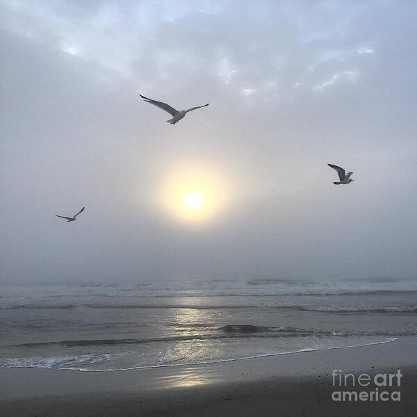 Sunrise Poster featuring the photograph Moment of Grace #2 by LeeAnn Kendall