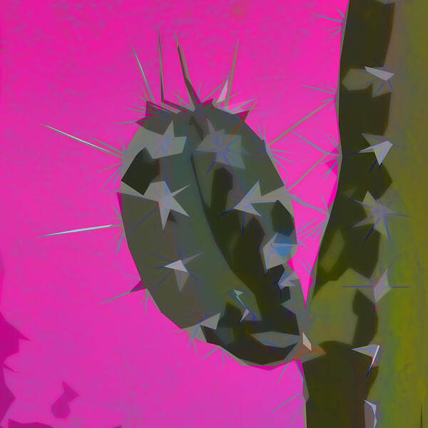 Cactus Poster featuring the photograph Pink and Green Cactus Collage #1 by Carol Leigh