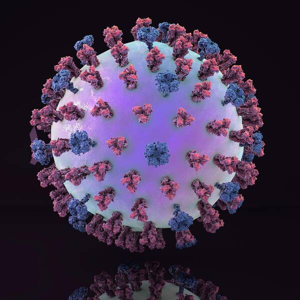 3 Dimensional Poster featuring the photograph Swine Flu Virus H1n1 #1 by Kateryna Kon