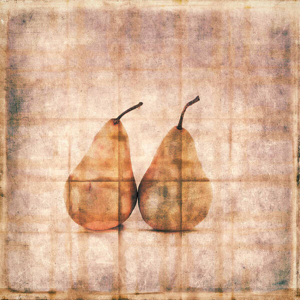 Two Poster featuring the photograph Two Yellow Pears on Folded Linen #1 by Carol Leigh