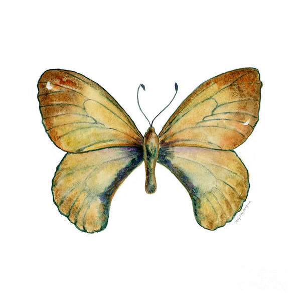 Clouded Poster featuring the painting 15 Clouded Apollo Butterfly by Amy Kirkpatrick