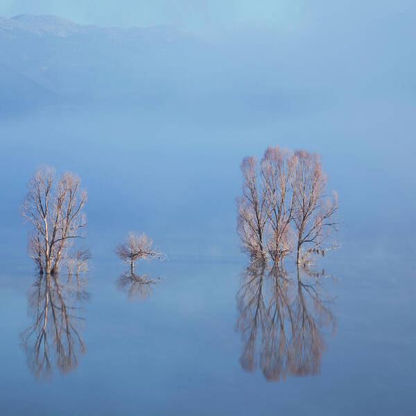 Water's Edge Poster featuring the photograph Misty Lake In Spring #2 by Temizyurek