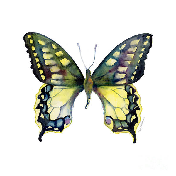 Blue Poster featuring the painting 20 Old World Swallowtail Butterfly by Amy Kirkpatrick