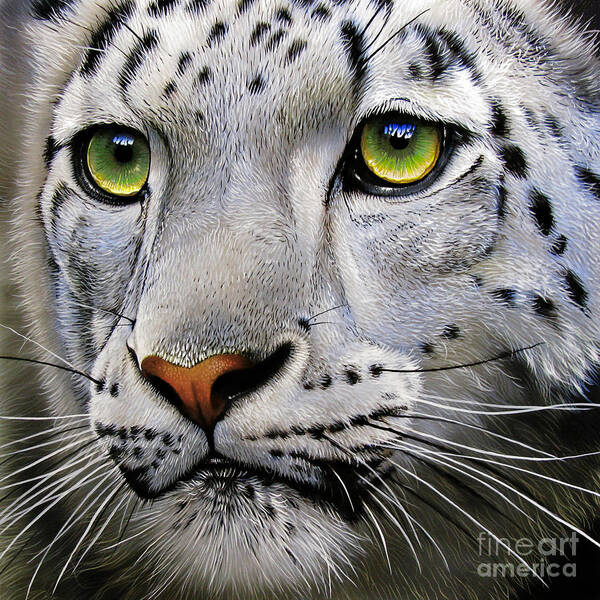 Snow Leopard Poster featuring the painting Snow Leopard #3 by Jurek Zamoyski