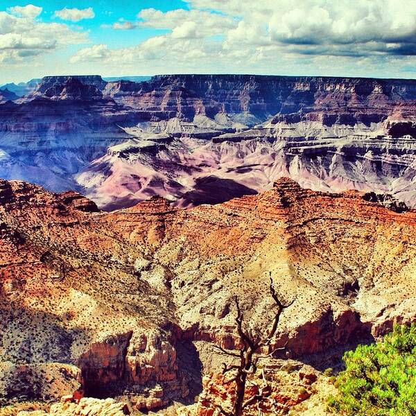 Grandcanyon Poster featuring the digital art The Grand Canyon #3 by Luisa Azzolini